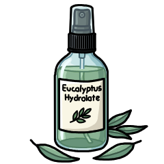 Eucalyptus hydrolate