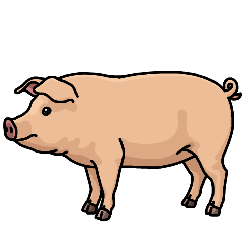 Cream pig