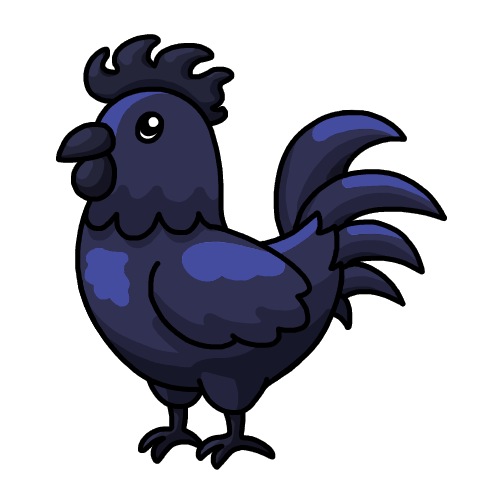 Ayam Cemani rooster